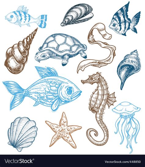 Marine Life Drawing royalty.